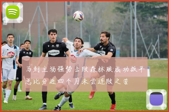 马刺主场强势击败森林狼成功扳平总比分近四个月未尝连败之苦