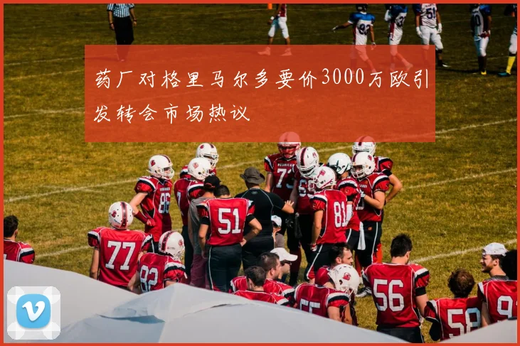 药厂对格里马尔多要价3000万欧引发转会市场热议
